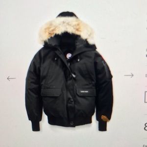 canada goose chilliwqck bomber women’s s
